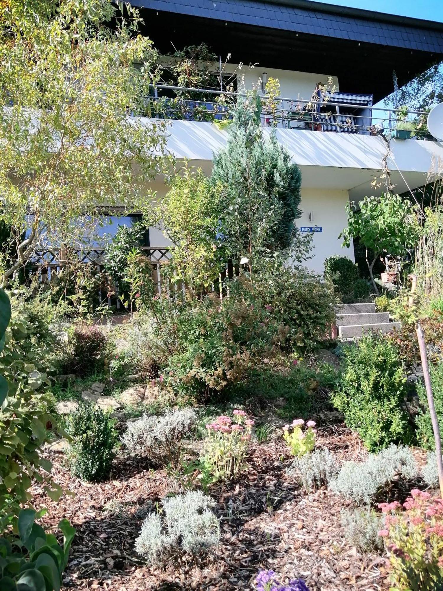 Haus Mohr - Ferienwohnung Im Taunus Weilmunster Exteriér fotografie